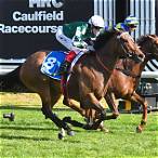 sir rupert clarke stakes bet on